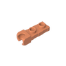 Dark Salmon