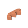 Dark Salmon