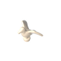 GDS-90076 - Animal, Bird, Seagull [Plain]