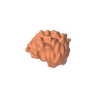 Dark Salmon