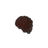 Dark Brown 308