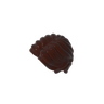 Dark Brown 308