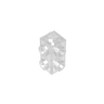 Transparent 40