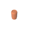Dark Salmon