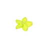 Transparent Fluore Green 49