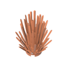 Dark Salmon