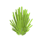 GDS-90246 - Plant, Bush 2 x 2 x 4