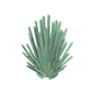 GDS-90246 - Plant, Bush 2 x 2 x 4