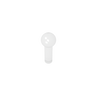 Transparent 40