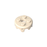 Papaya Whip