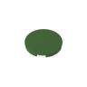 Dark Olive Green