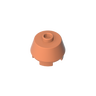 Dark Salmon