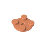 Dark Salmon
