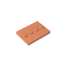 Dark Salmon
