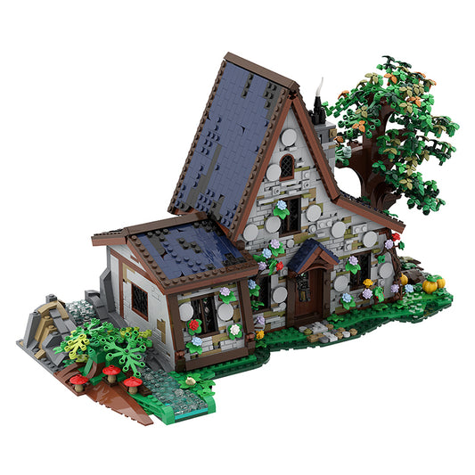 The Witch House