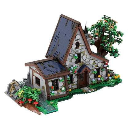 The Witch House