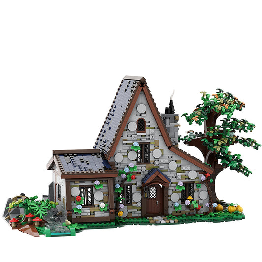 The Witch House