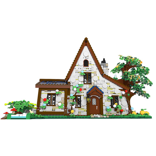 The Witch House