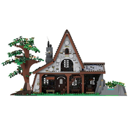 The Witch House