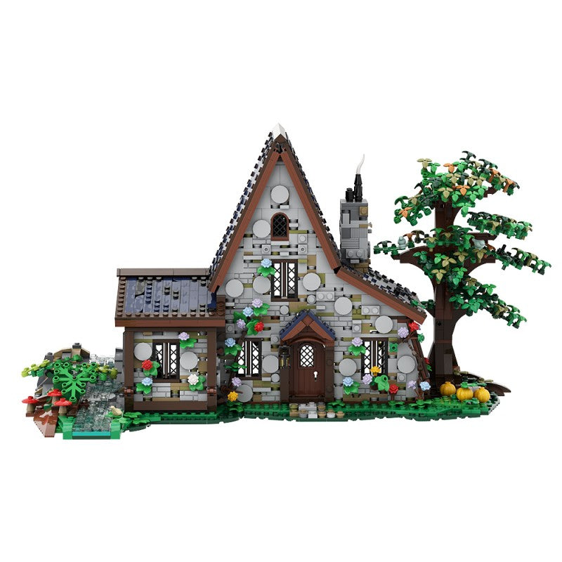The Witch House