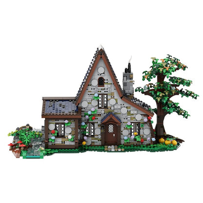 The Witch House