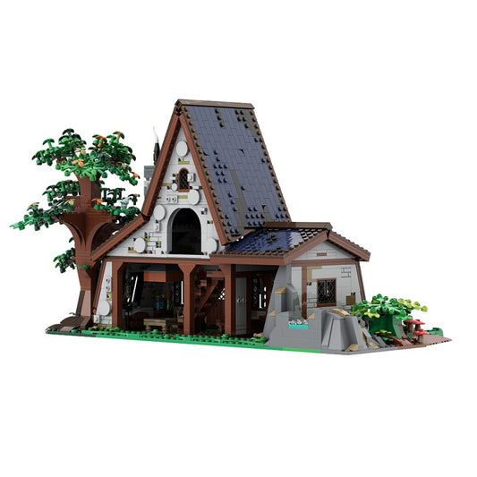 The Witch House