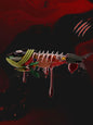 Bone fish (design)