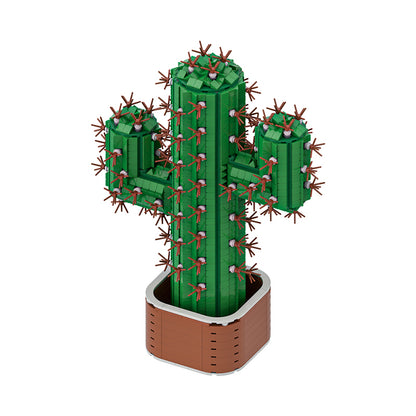 The giant cactus