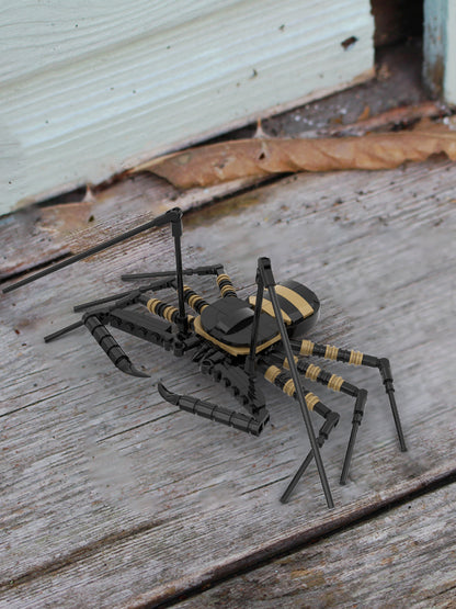 MOC-210098 Tailless Whip Scorpion (Amblypygi Order)