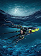 MOC-220370 Giant Squid