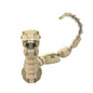 MOC-225855 31162 x 2 Alien - Chestburster (Full Version)