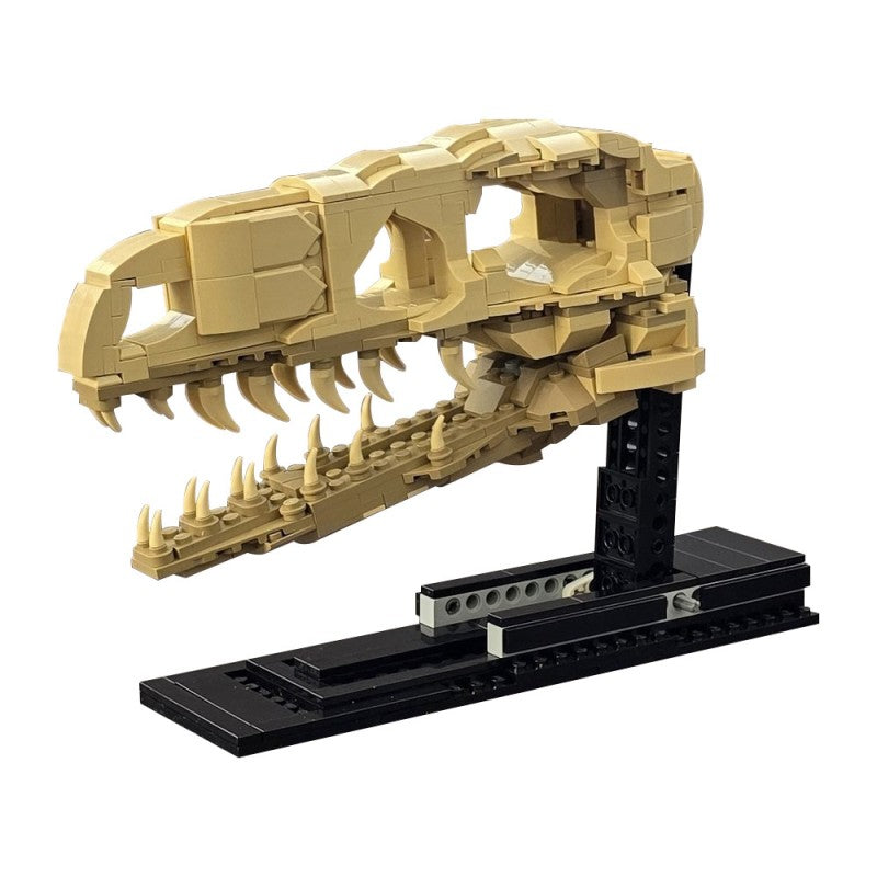 MOC-233703 Velociraptor Fossil Skull(True Scale)
