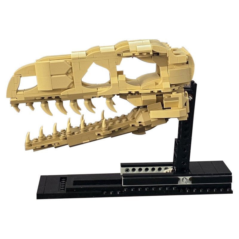 MOC-233703 Velociraptor Fossil Skull(True Scale)