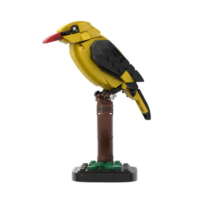 MOC-213411 Golden oriole