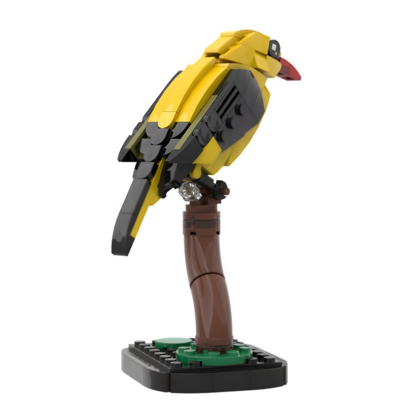 MOC-213411 Golden oriole