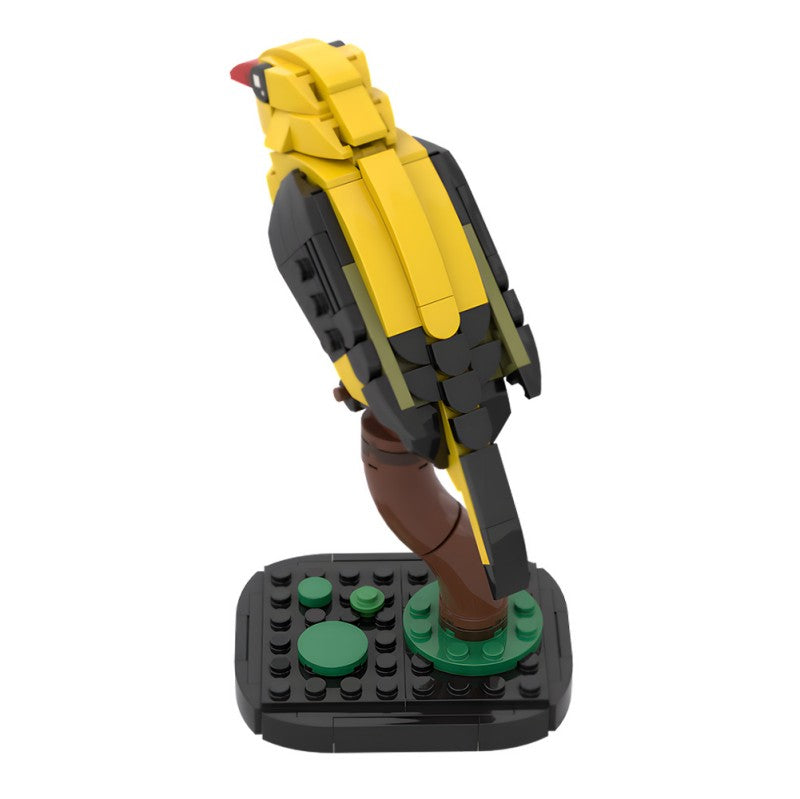 MOC-213411 Golden oriole