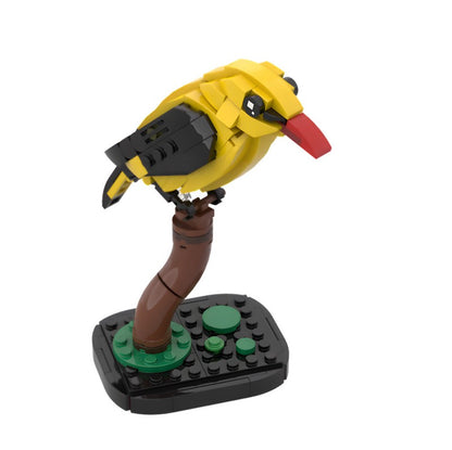MOC-213411 Golden oriole