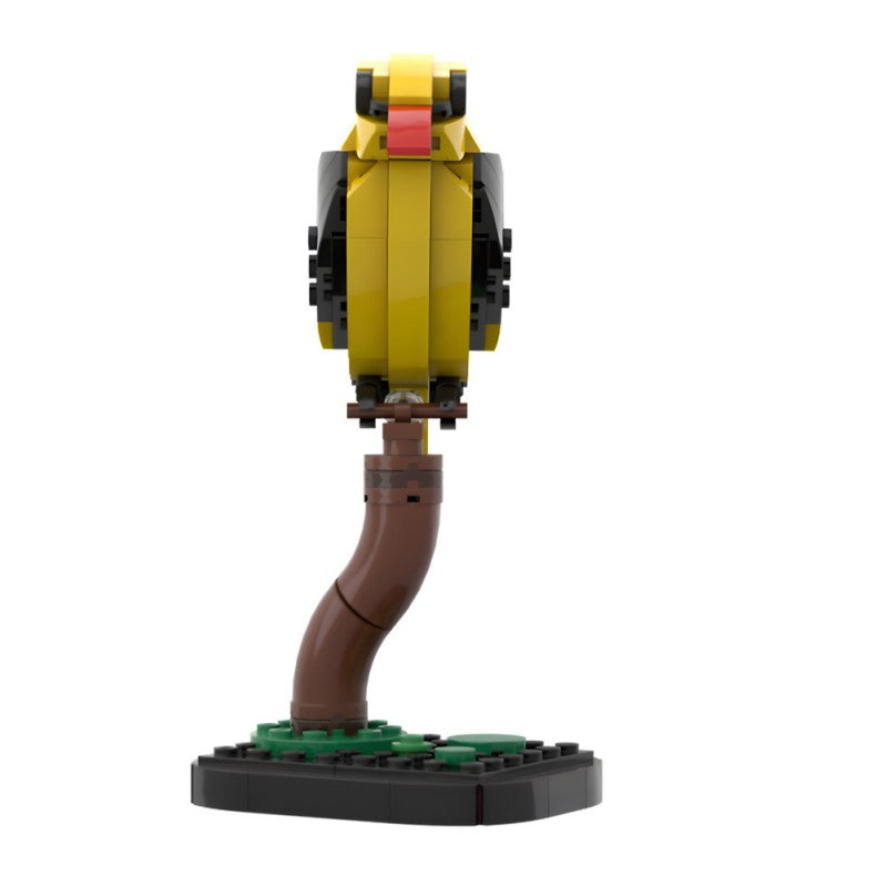 MOC-213411 Golden oriole