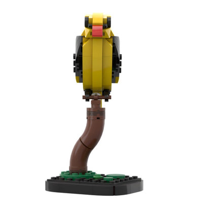 MOC-213411 Golden oriole