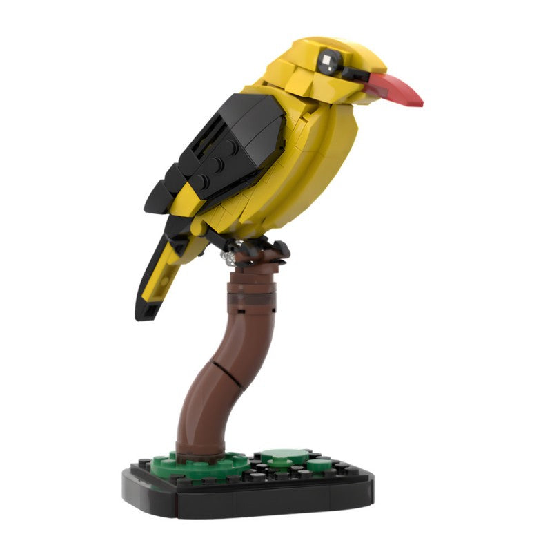MOC-213411 Golden oriole