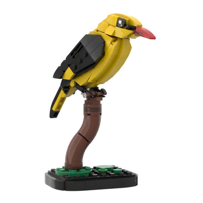 MOC-213411 Golden oriole