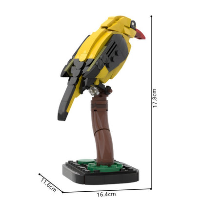 MOC-213411 Golden oriole