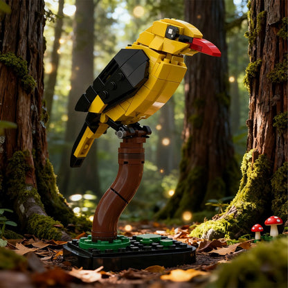 MOC-213411 Golden oriole