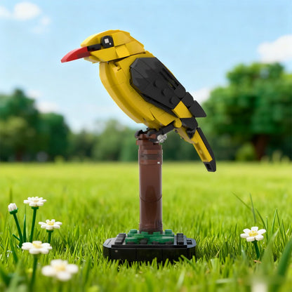MOC-213411 Golden oriole