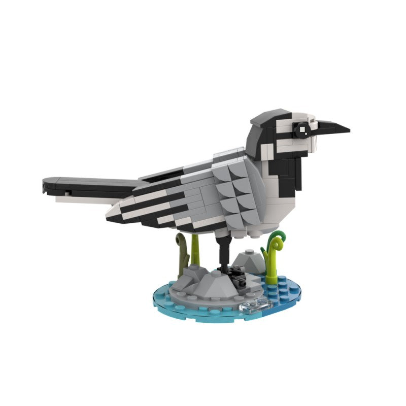 MOC-236468 White wagtail
