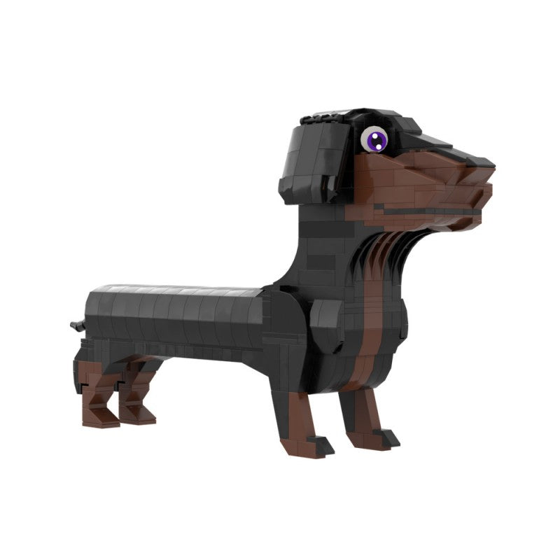 MOC-237696 Dachshund