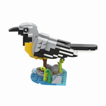 MOC-241312 Grey Wagtail