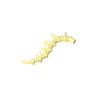 Lemon Chiffon
