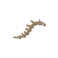 GDS-M431 - Plant / Creature Body Part, Vine / Tail / Tentacle / Bionicle Spine, Spiky