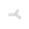 Transparent 40